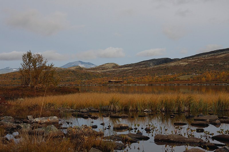 _MG_3795Authum.JPG - Utsikt mot Rondane over Flaksjøen